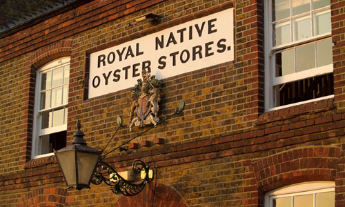 Royal Native oysters stores restaurant whistable kent